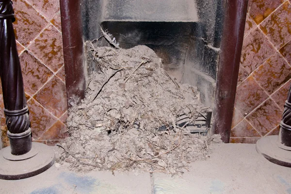 Importance of Regular Chimney Inspection for Home Safety Castro Valley CA